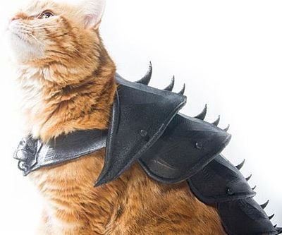 3D Printed Cat Armor