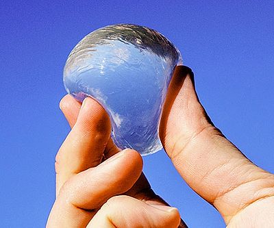 Edible Water Bottle