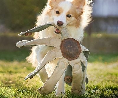 Frank The Dogtopus Dog Toy