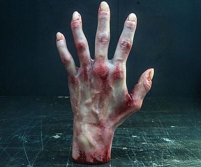 Pose-able Severed Hand