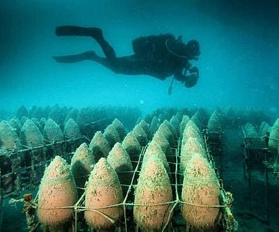 Underwater Wine Cellar